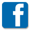 FacebookIcon